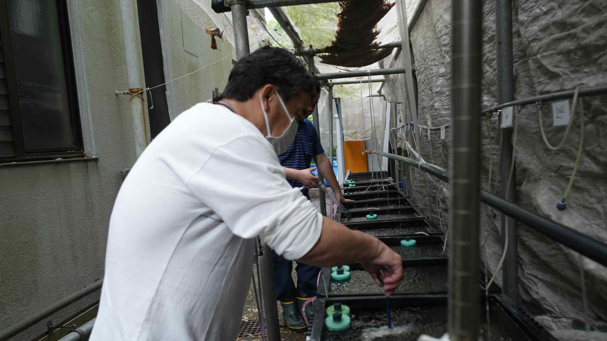 就労継続支援B型事業所